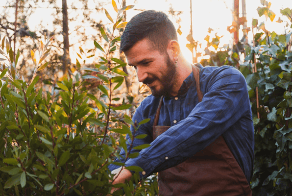 Homem jovem em meio a plantas